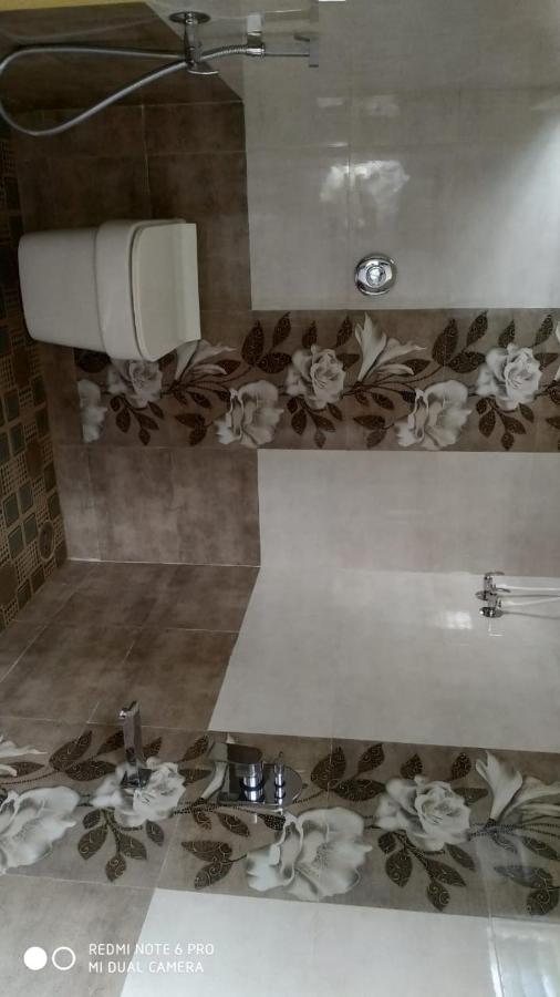 Coconut Homestay האמפי מראה חיצוני תמונה