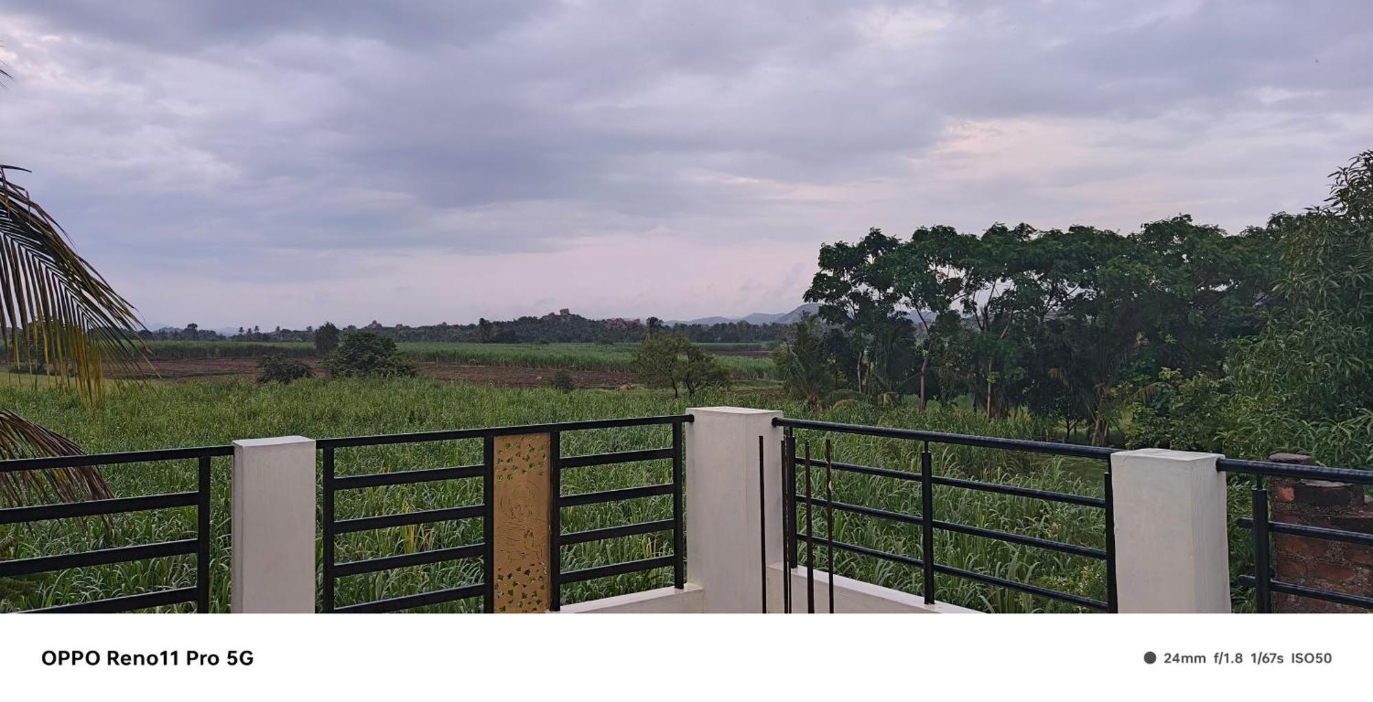 Coconut Homestay האמפי מראה חיצוני תמונה